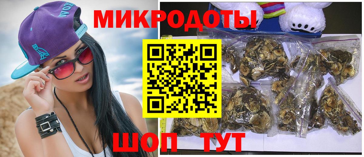 Псилоцибиновые грибы Psilocybine cubensis Холмск