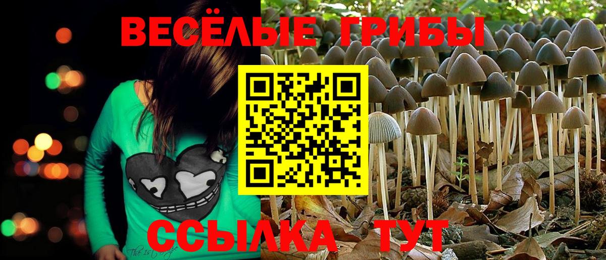Галлюциногенные грибы мицелий  Псилоцибиновые грибы Psilocybe  Вход с VPN  Холмск 